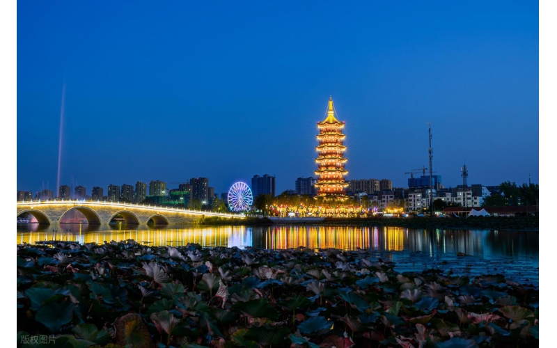 菏澤亮化工程：山東原實科技的牡丹文脈光影實踐